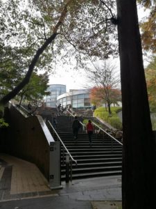 丘の上の岡本太郎美術館